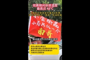 安徽球迷支持南京队，网友：芜马滁三兄弟永远跟着南哥走